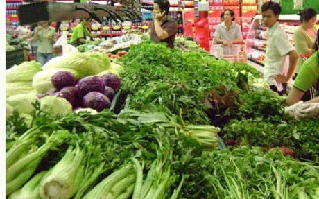 Tin liên quan - Satra