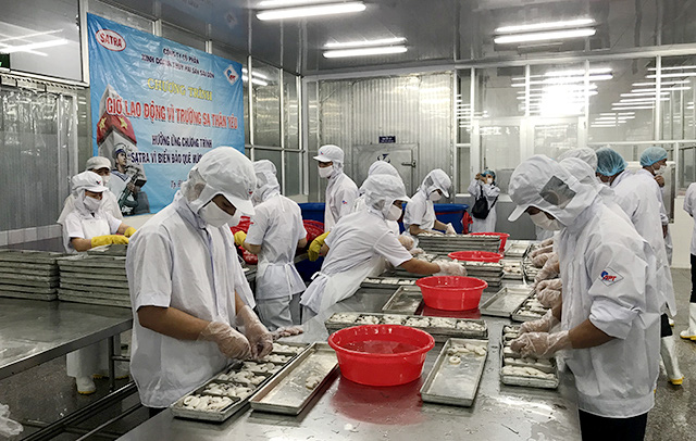 Hệ thống đơn vị thành viên - Satra