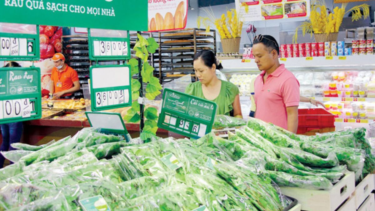 Tin liên quan - Satra