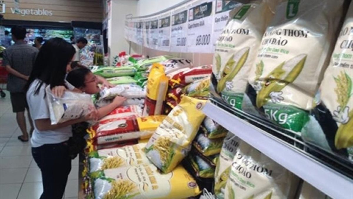 Tin liên quan - Satra