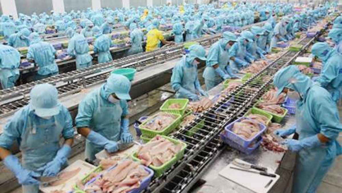 Tin liên quan - Satra