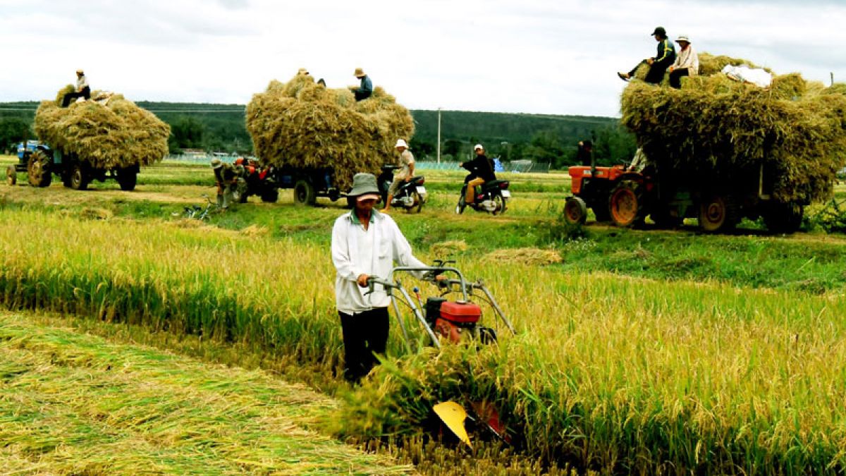 Tin liên quan - Satra