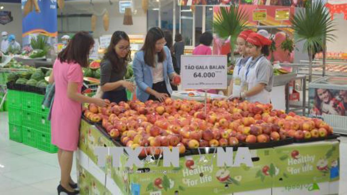 Tin liên quan - Satra