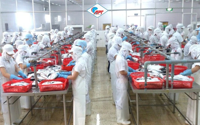 Hệ thống đơn vị thành viên - Satra