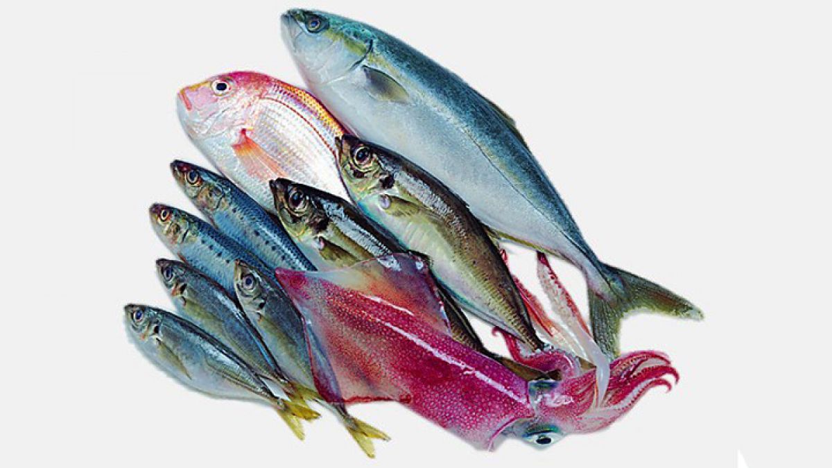 Tin liên quan - Satra