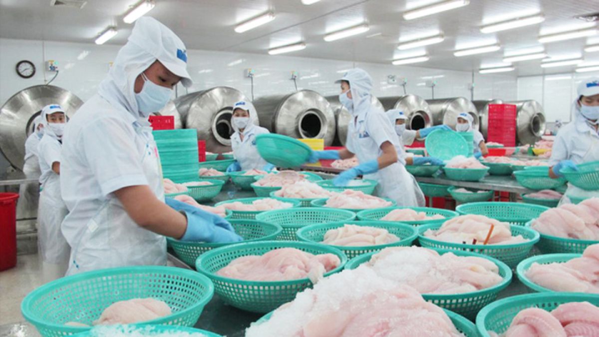 Tin liên quan - Satra