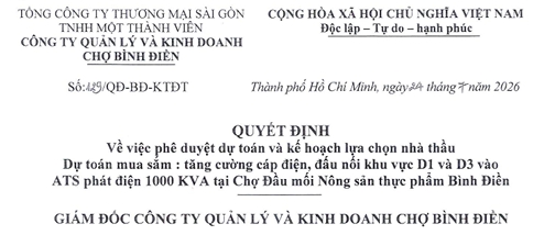 Báo cáo tài chính 6 tháng năm 2026 - Satra